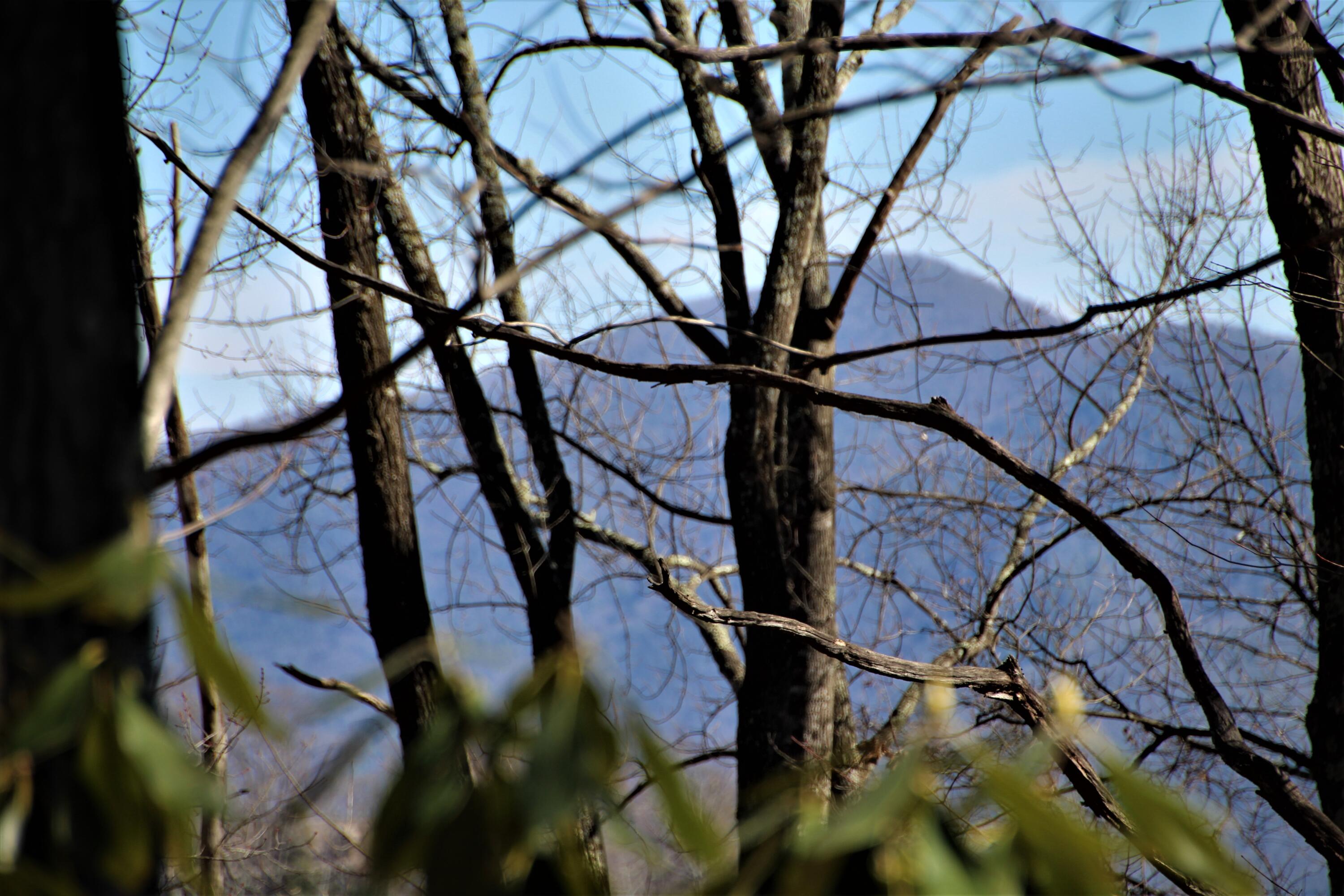 000 Heaton Branch Road, Butler, Tennessee image 1