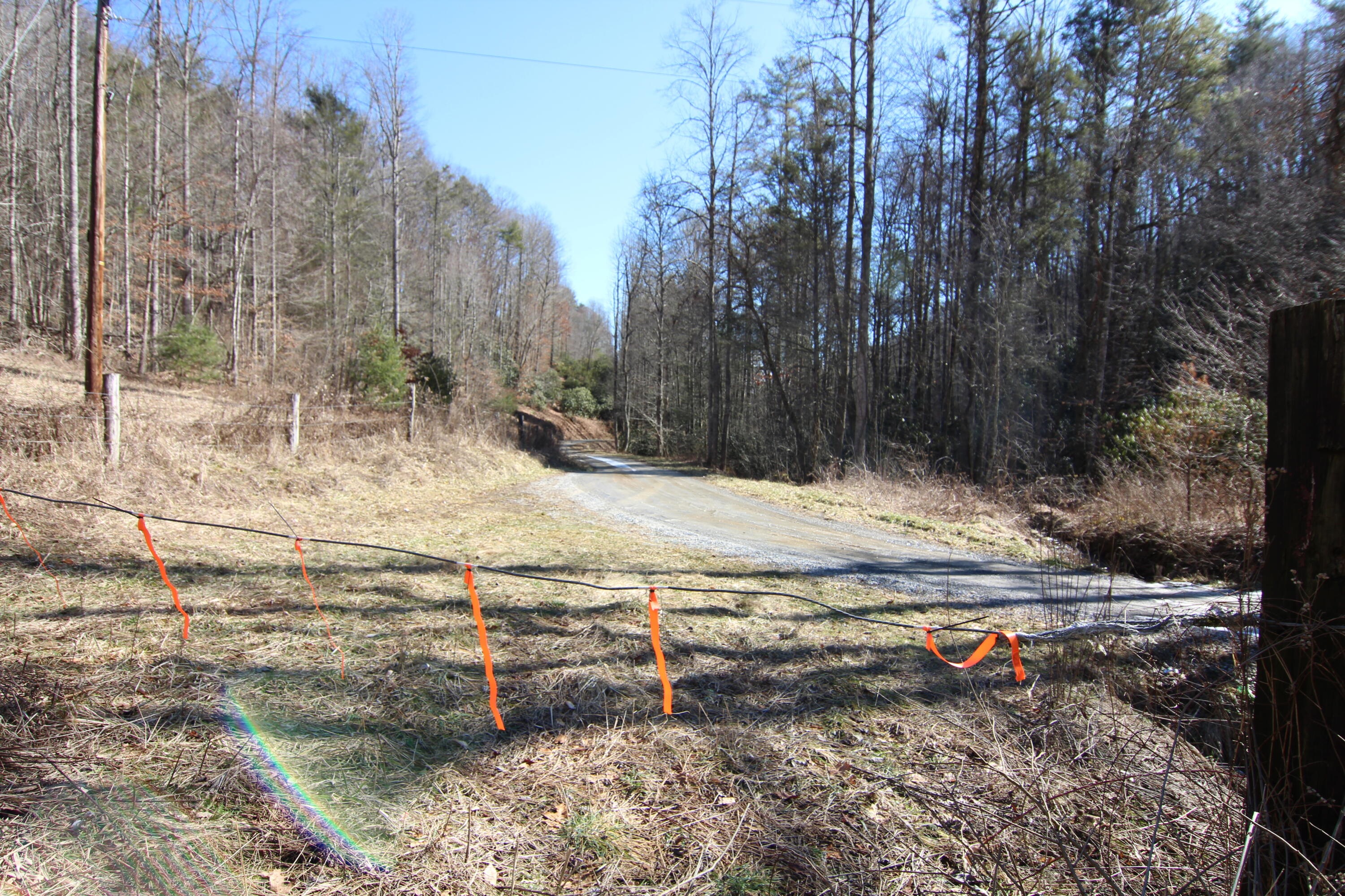 000 Heaton Branch Road, Butler, Tennessee image 14