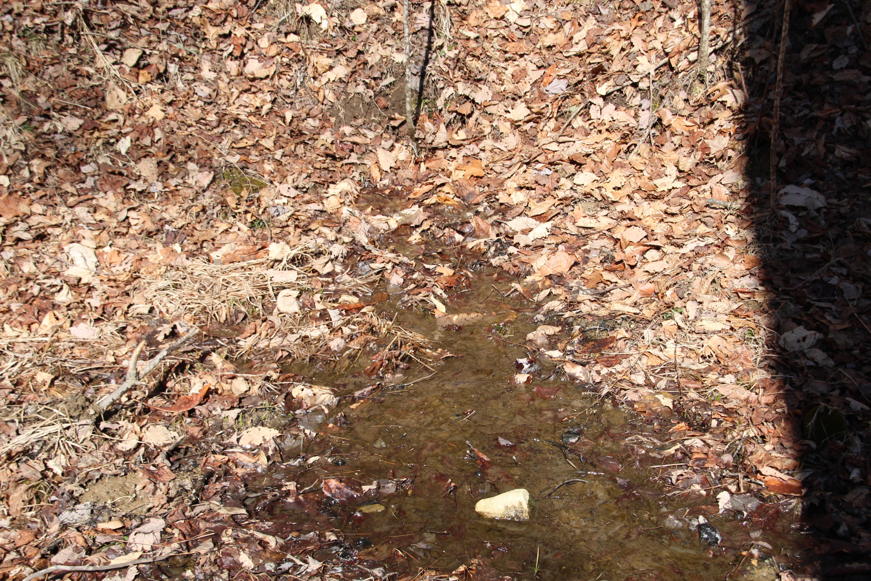 000 Heaton Branch Road, Butler, Tennessee image 10