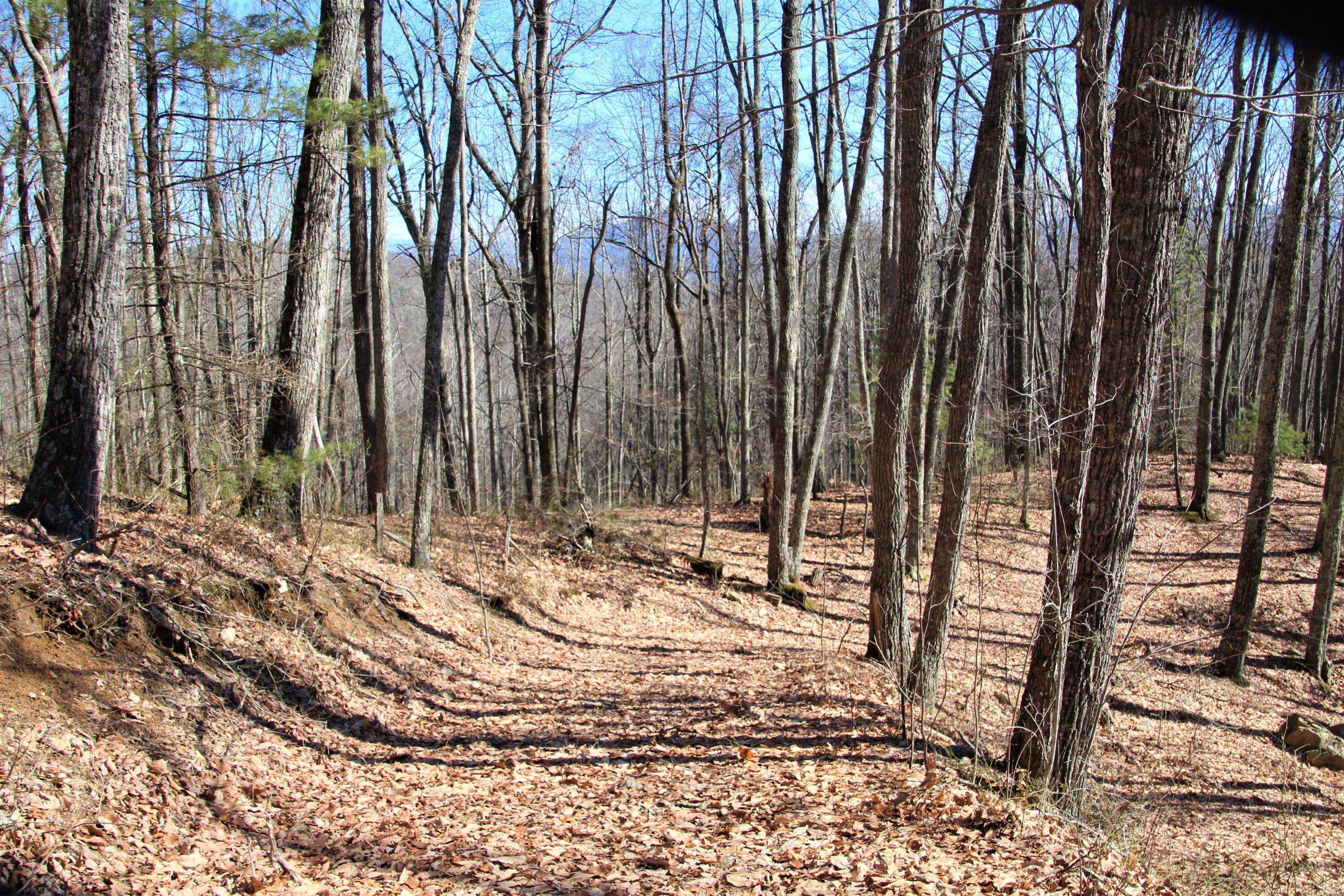 000 Heaton Branch Road, Butler, Tennessee image 2