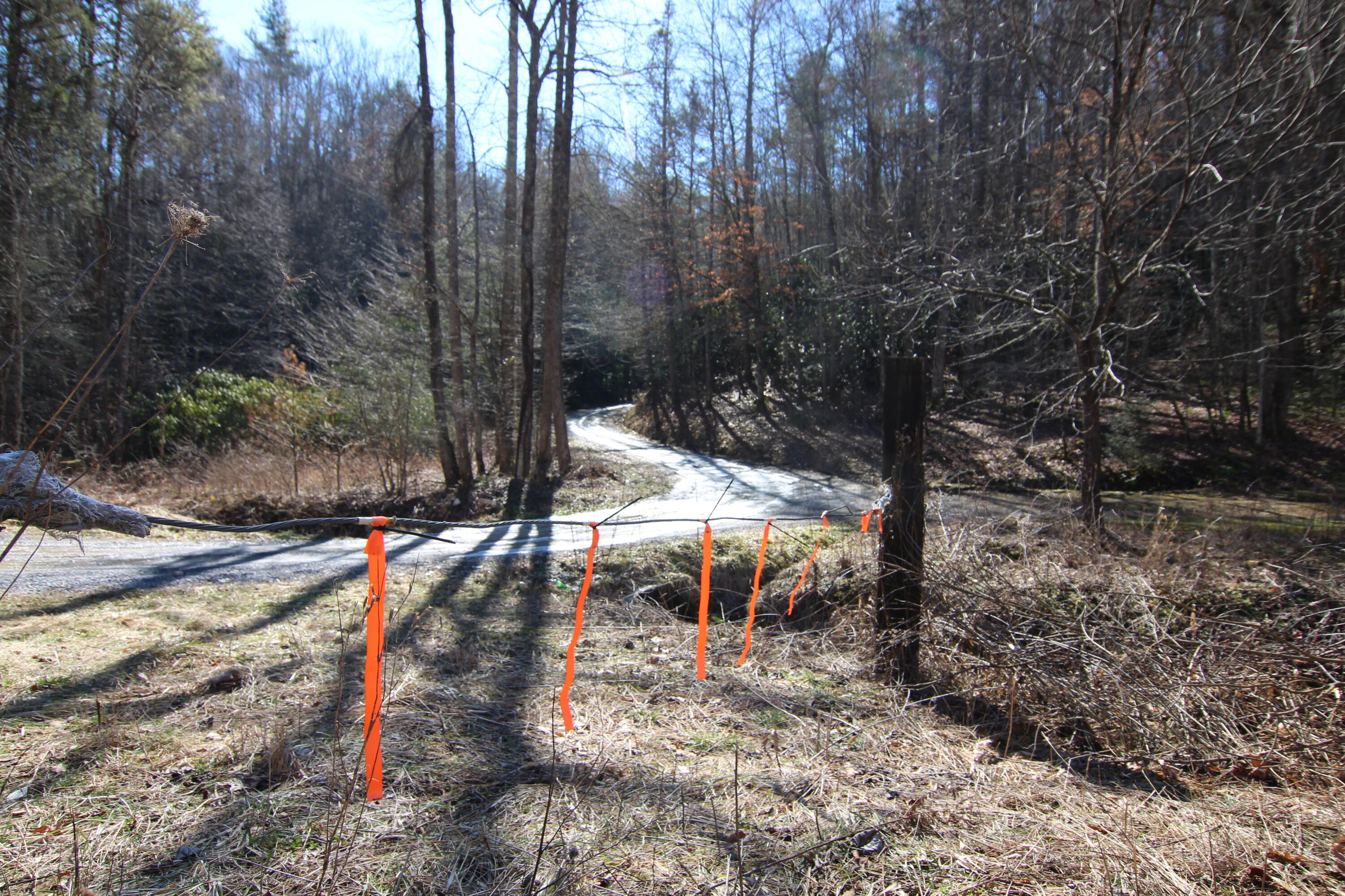 000 Heaton Branch Road, Butler, Tennessee image 15
