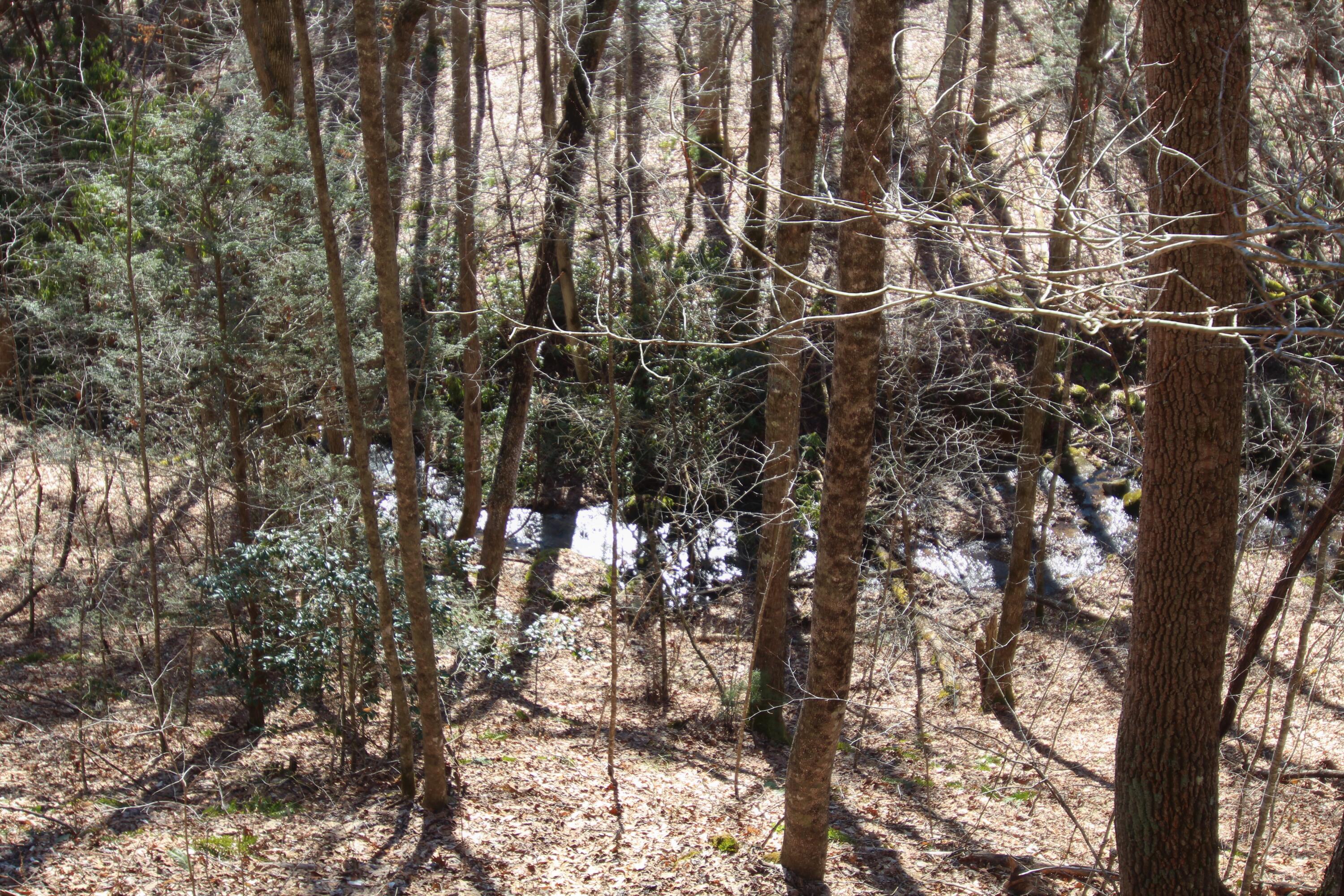 000 Heaton Branch Road, Butler, Tennessee image 20