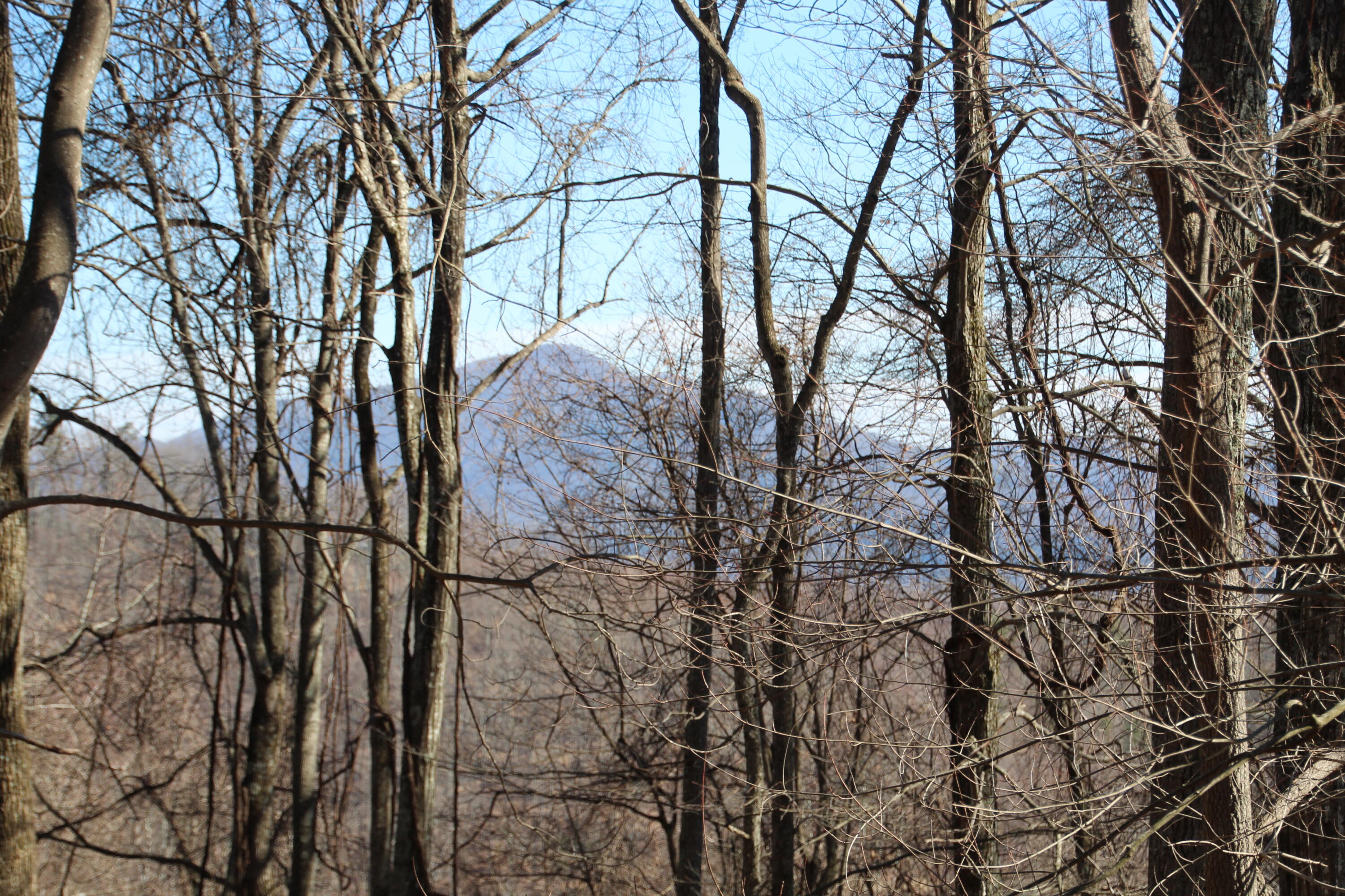 000 Heaton Branch Road, Butler, Tennessee image 7