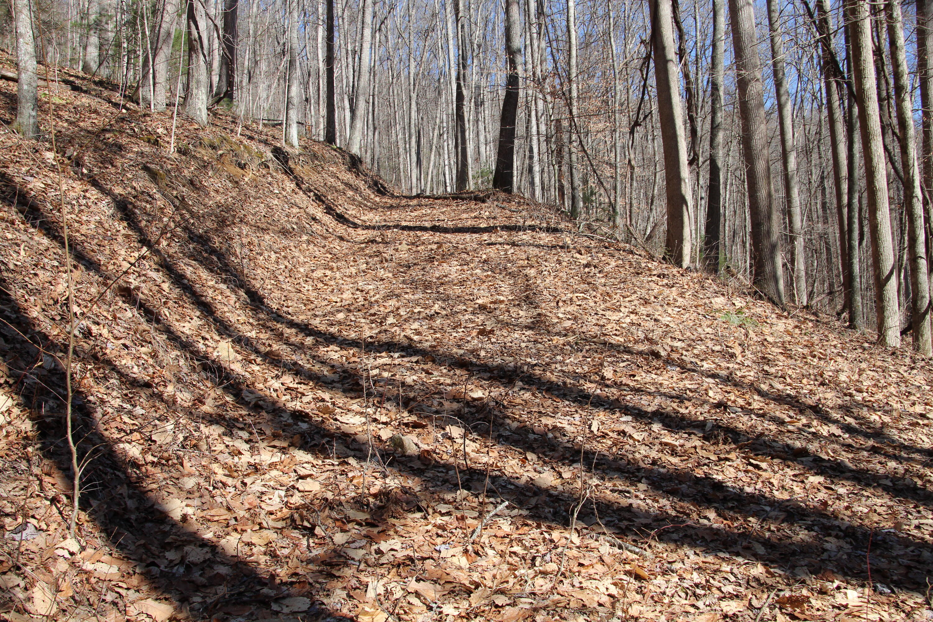 000 Heaton Branch Road, Butler, Tennessee image 26