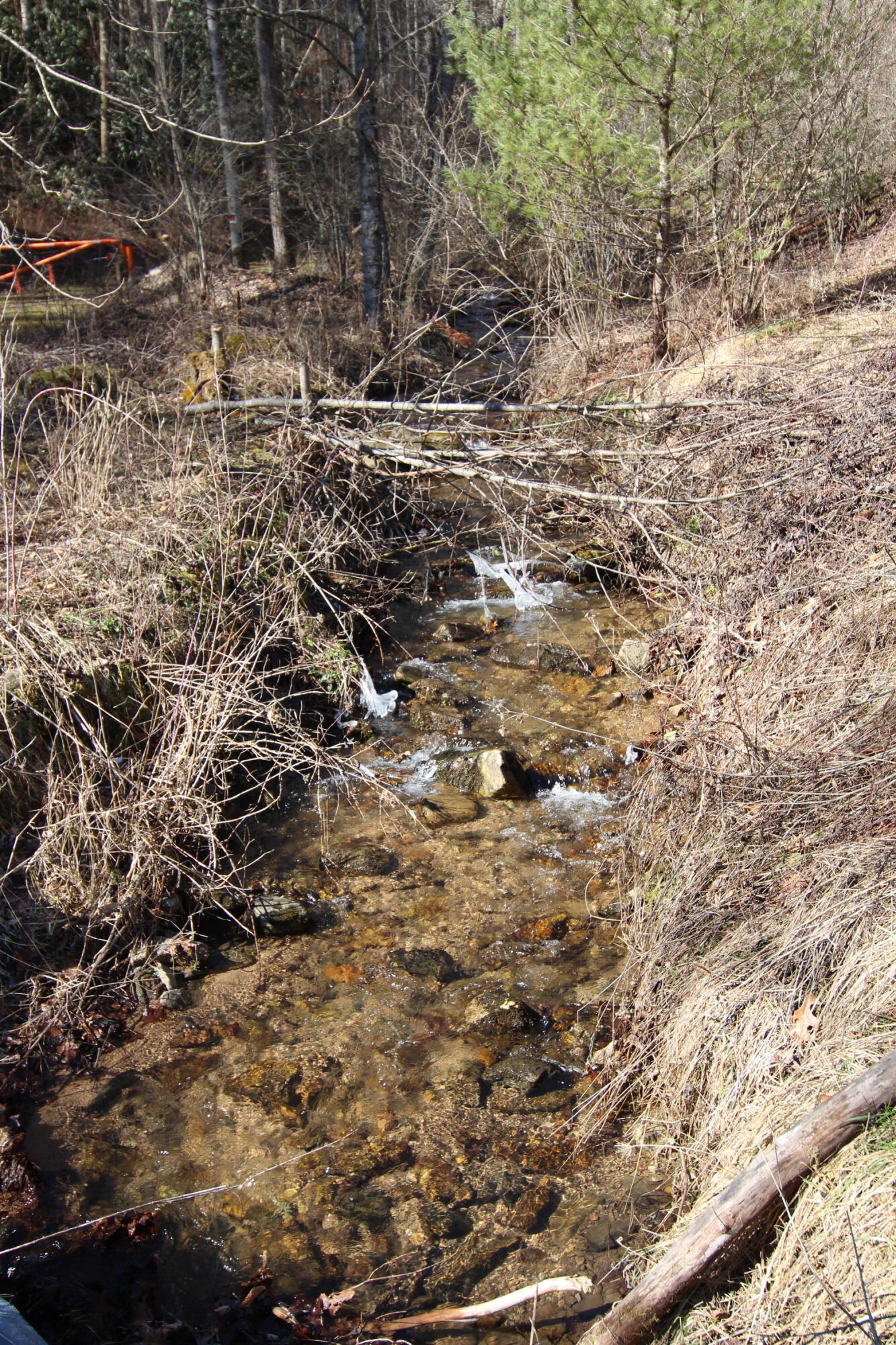 000 Heaton Branch Road, Butler, Tennessee image 12