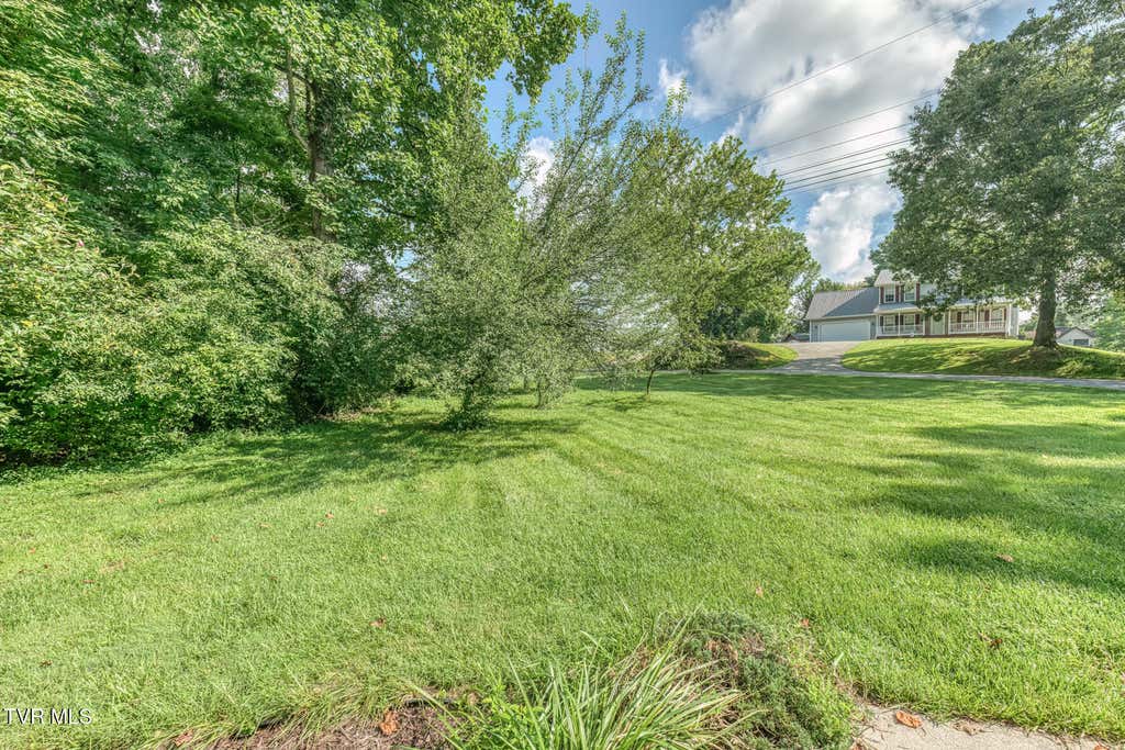 Photo of 3425 Street Drive, Johnson City, TN 37604 (MLS # 9999822)