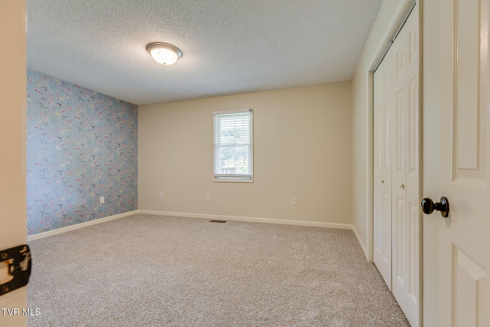 277 Spurgeon Road, Blountville, Tennessee image 33