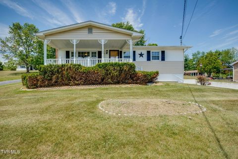 Photo of 810 Shakesville Road, Bristol, VA 24201 (MLS # 9995665)