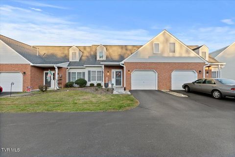 Photo of 1725 Lakeview Drive #62, Johnson City, TN 37601 (MLS # 9988689)
