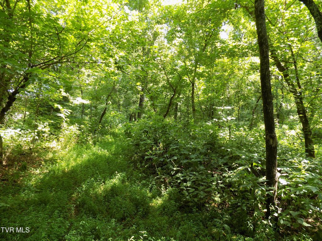 Photo of 00 Timberlake Circle, Rogersville, TN 37857 (MLS # 9988875)