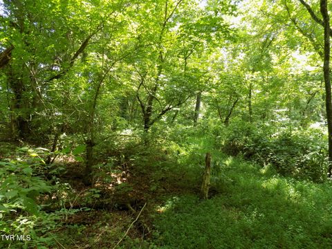 Vacant Land For Sale - 00 Timberlake Circle<br/> Rogersville, TN 37857