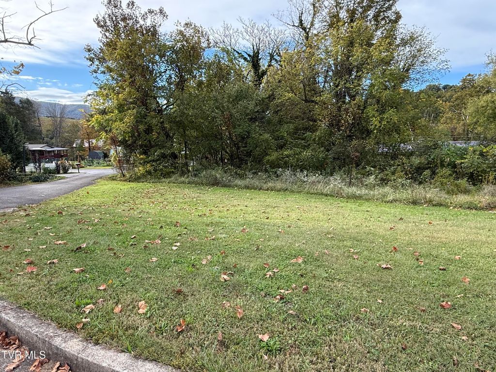 Photo of Tbd State Highway 91, Elizabethton, TN 37643 (MLS # 9986773)