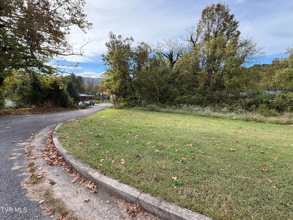 Photo of Tbd State Highway 91, Elizabethton, TN 37643 (MLS # 9986773)
