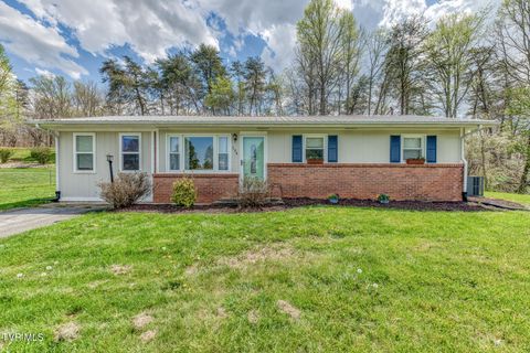 Photo of 134 Evergreen Road, Jonesborough, TN 37659 (MLS # 9993306)
