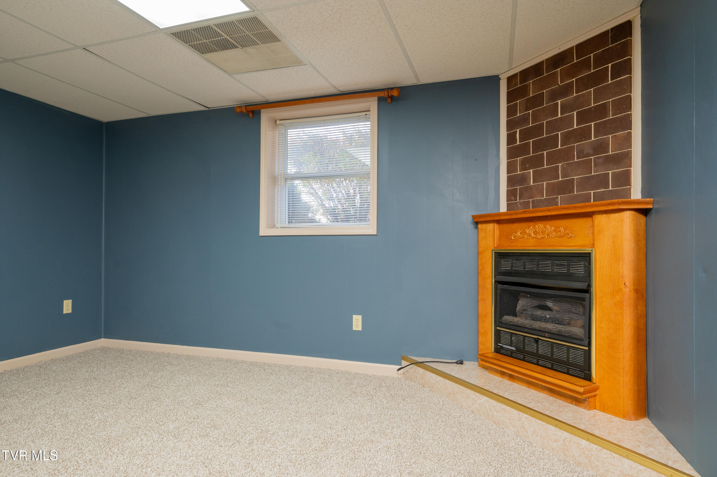 145 Linda Heights Lane, Fall Branch, Tennessee image 44