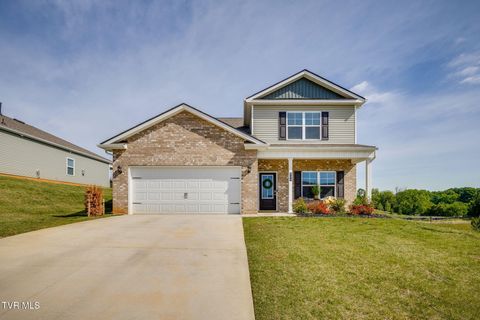Photo of 804 Pinhoti Street, Johnson City, TN 37604 (MLS # 9995311)