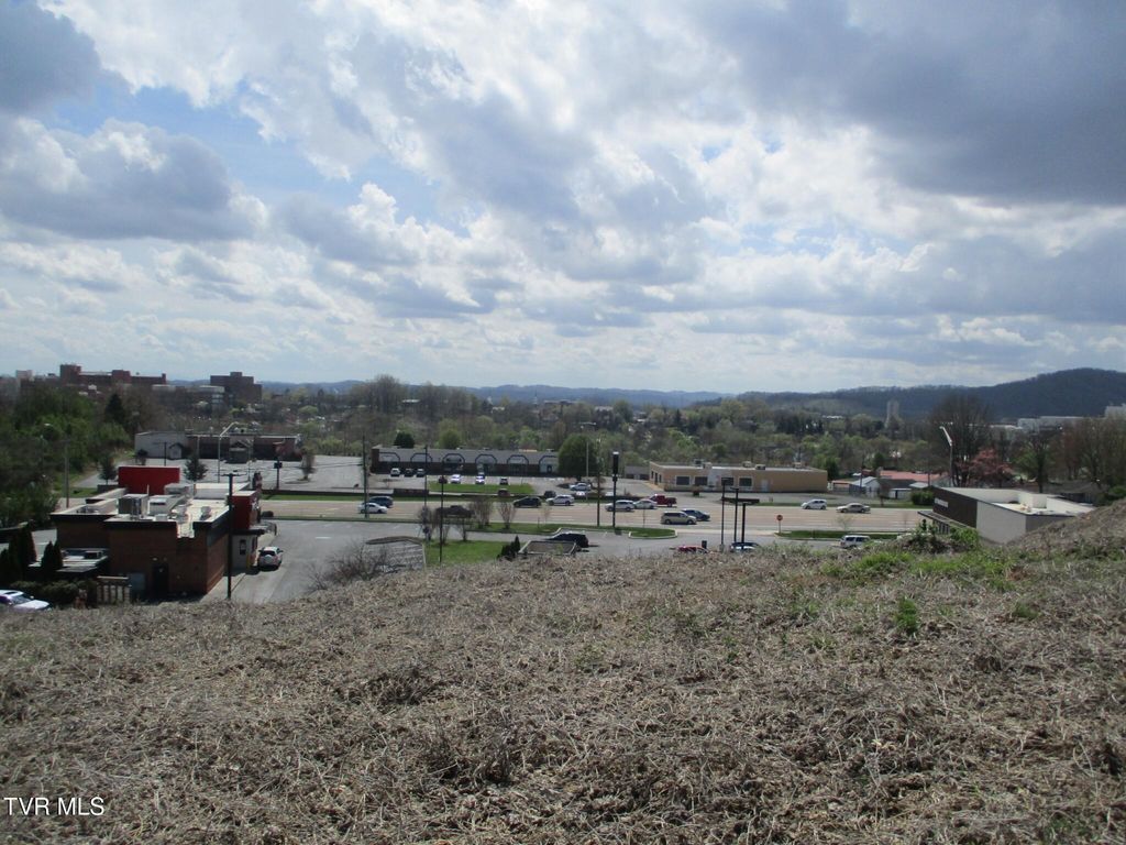 Photo of 650 Teasel Drive, Kingsport, TN 37660 (MLS # 9993733)