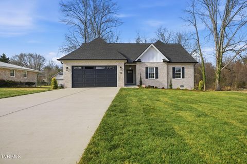 Photo of 112 Tall Oaks Court, Kingsport, TN 37663 (MLS # 9990490)