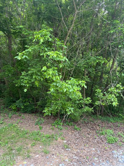 Tbd Neth Drive Johnson City TN 37601