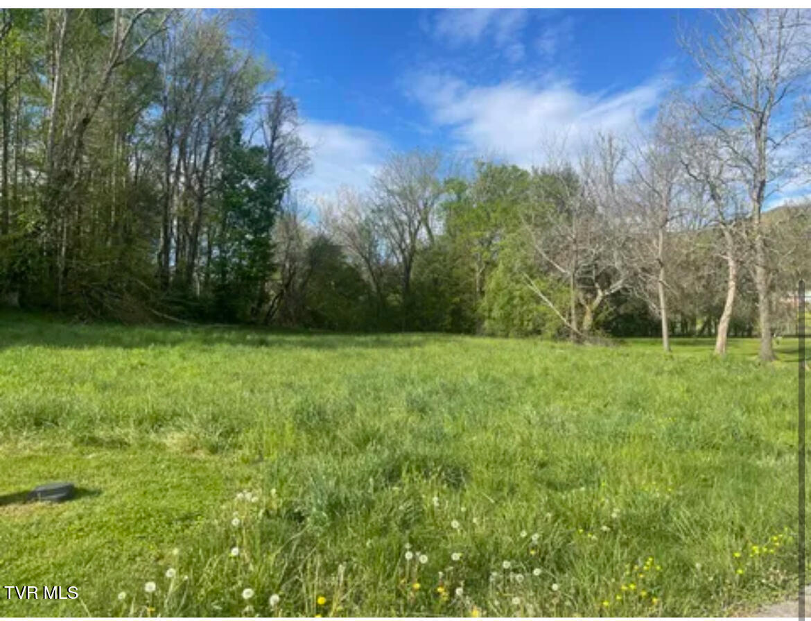 111 Clearwater Drive, Unicoi, Tennessee image 4