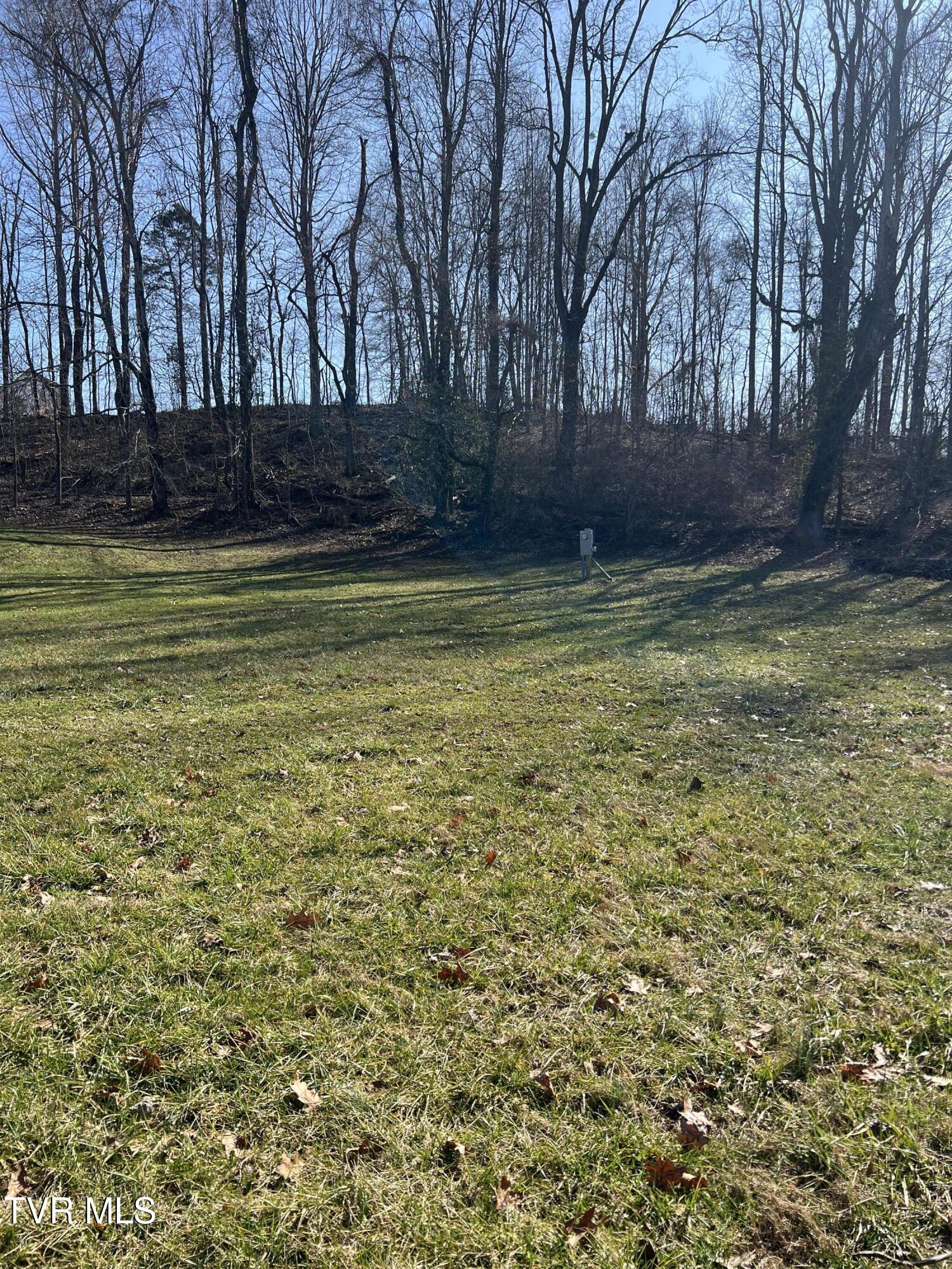 111 Clearwater Drive, Unicoi, Tennessee image 1