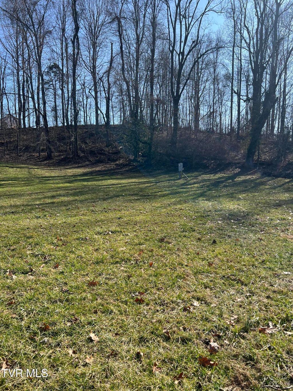 Photo of 111 Clearwater Drive, Unicoi, TN 37692 (MLS # 9975895)