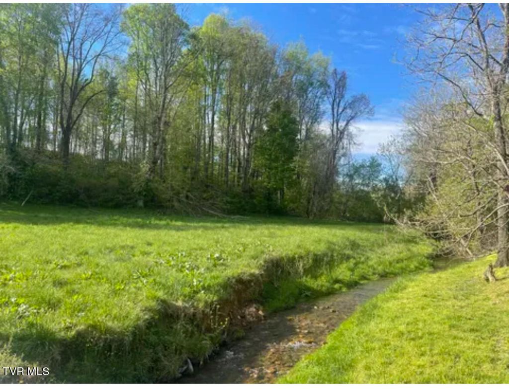 Photo of 111 Clearwater Drive, Unicoi, TN 37692 (MLS # 9975895)