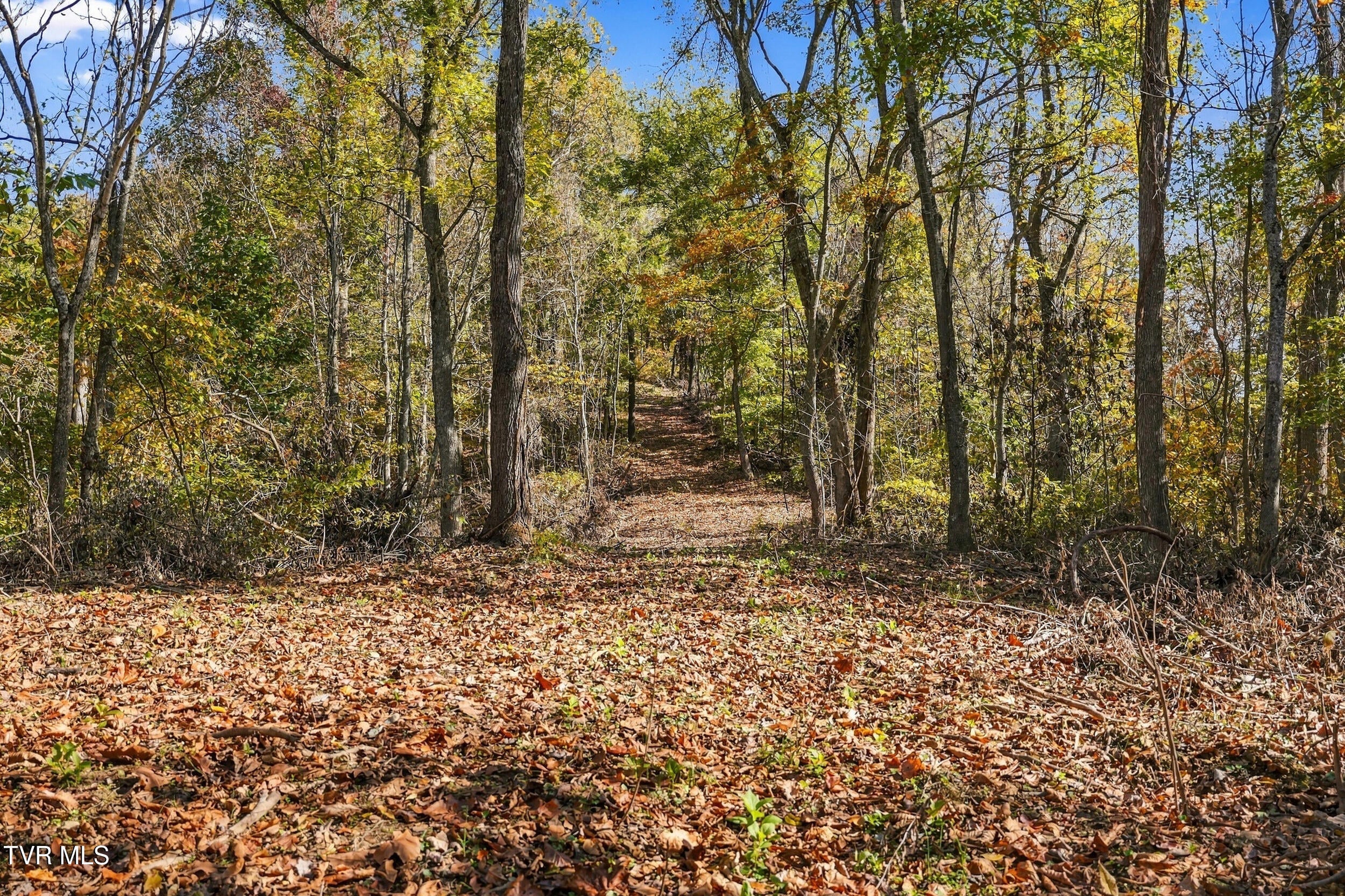 Tbd Seven Springs Hollow Road