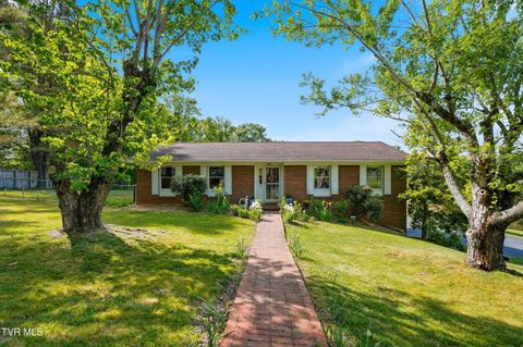 Photo of 316 Clark Place, Blountville, TN 37617 (MLS # 9995022)