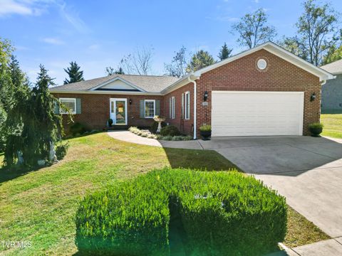 Photo of 126 Patriot Crossing, Greeneville, TN 37745 (MLS # 9987114)