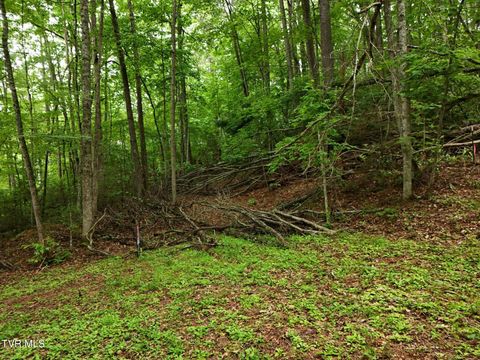 Vacant Land For Sale - TBD Willow Lane<br/> Greeneville, TN 37743