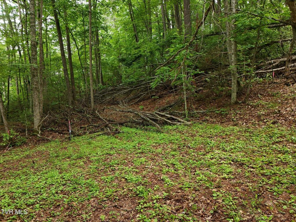Photo of Tbd Willow Lane, Greeneville, TN 37743 (MLS # 9996929)