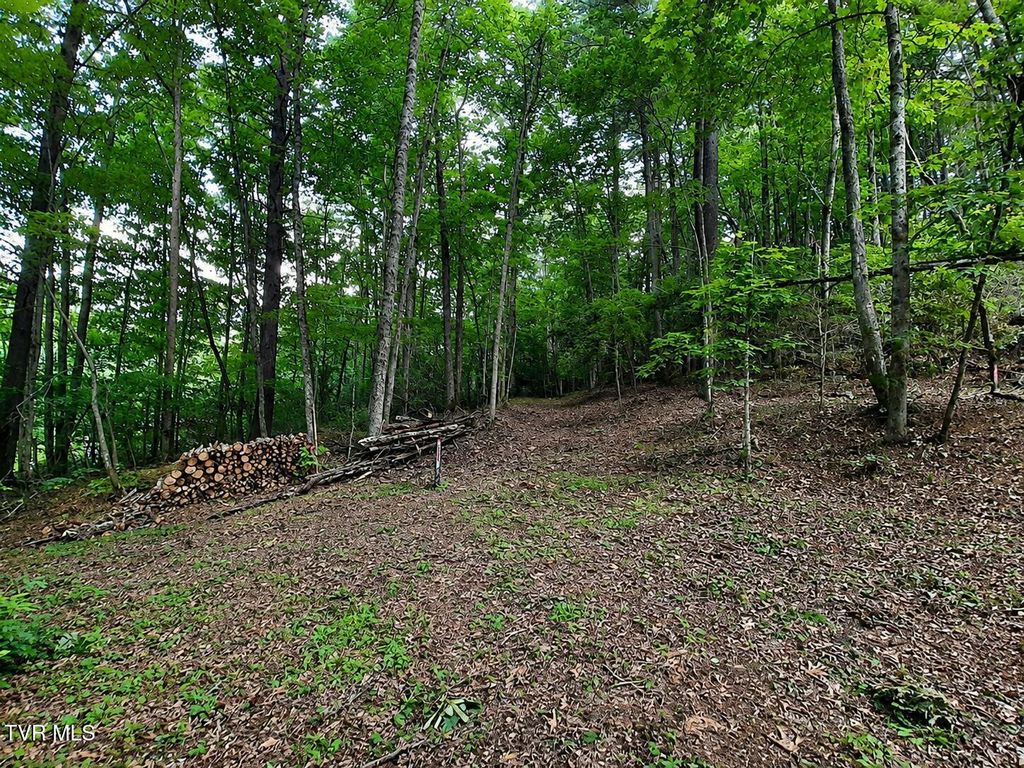 Photo of Tbd Willow Lane, Greeneville, TN 37743 (MLS # 9996929)