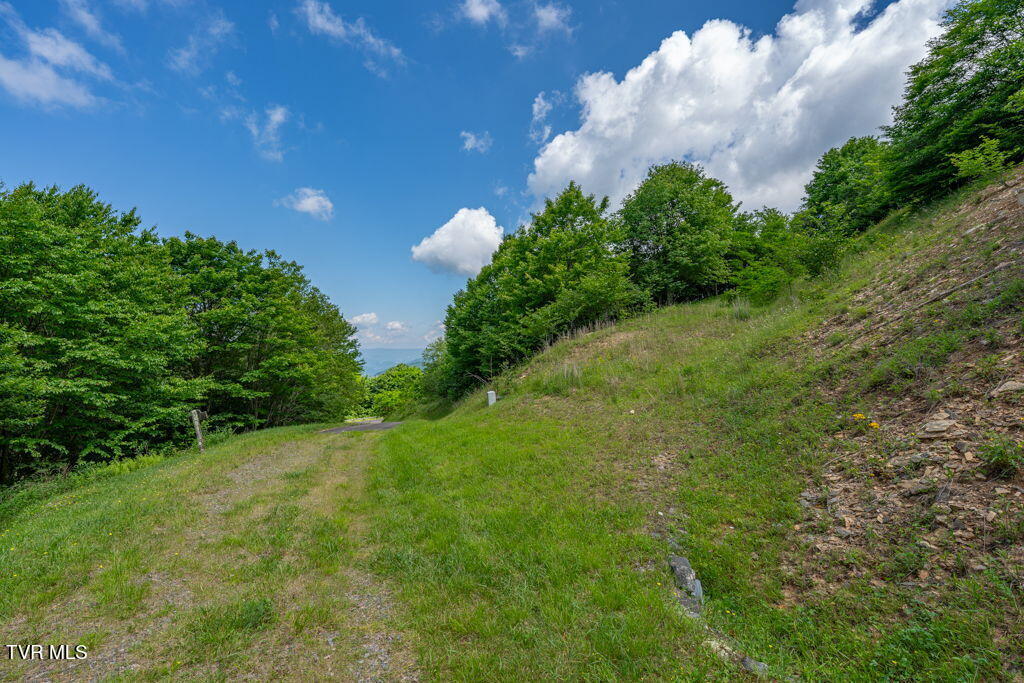 Photo of 206 Buffalo Nvno, Trade, TN 37691 (MLS # 10001602)