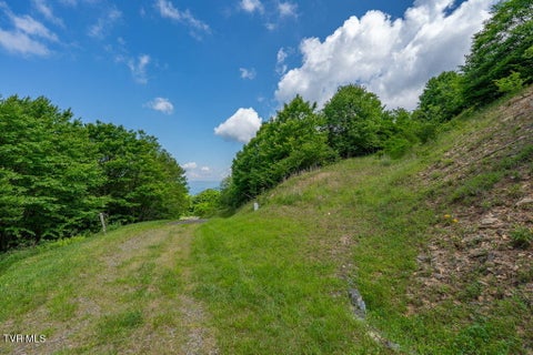 Vacant Land For Sale - C206 Buffalo Nvno<br/> Trade, TN 37691