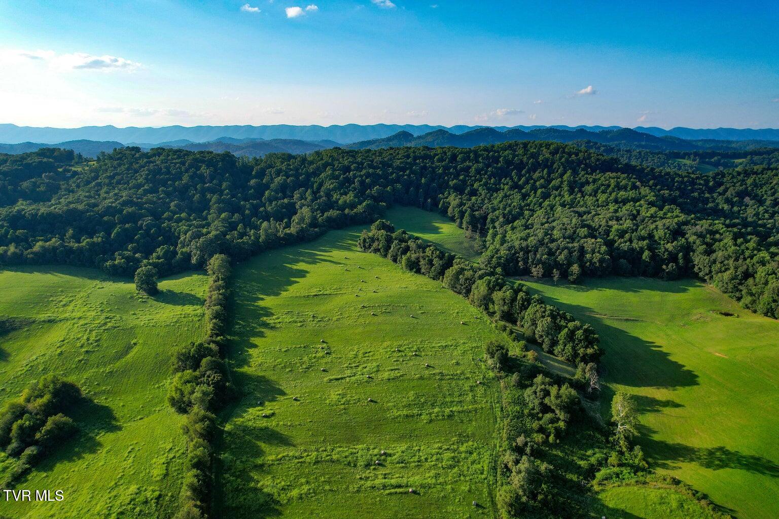 Tbd Reedy Creek Road, Bristol, Virginia image 9