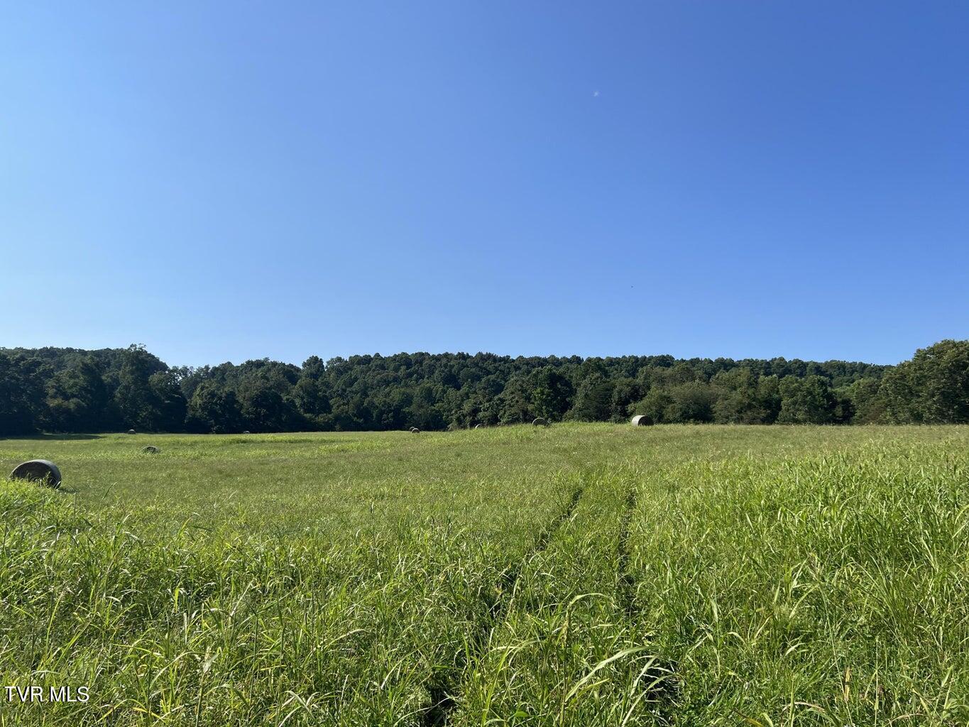 Tbd Reedy Creek Road, Bristol, Virginia image 12