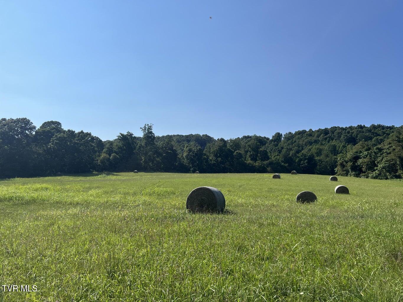 Tbd Reedy Creek Road, Bristol, Virginia image 11