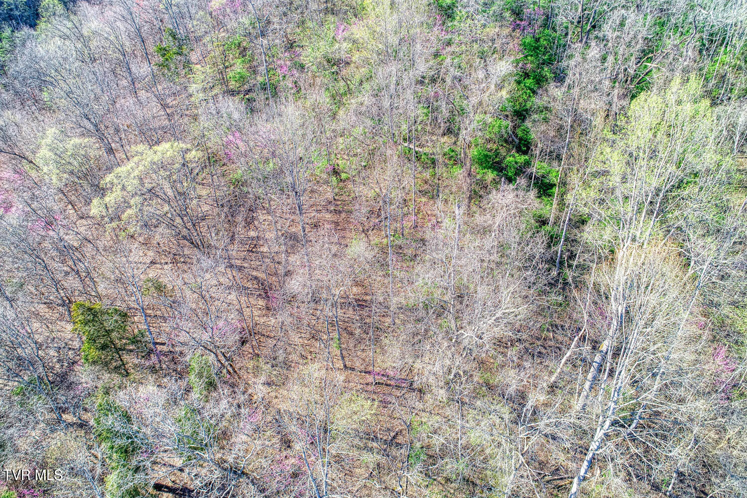 000 Sensabaugh Hollow Road, Church Hill, Tennessee image 18