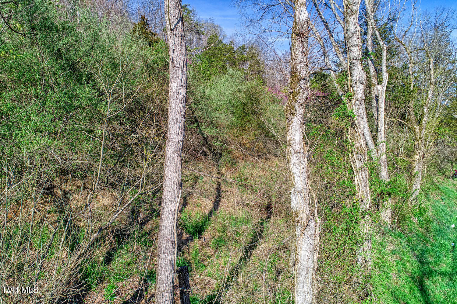 000 Sensabaugh Hollow Road, Church Hill, Tennessee image 8