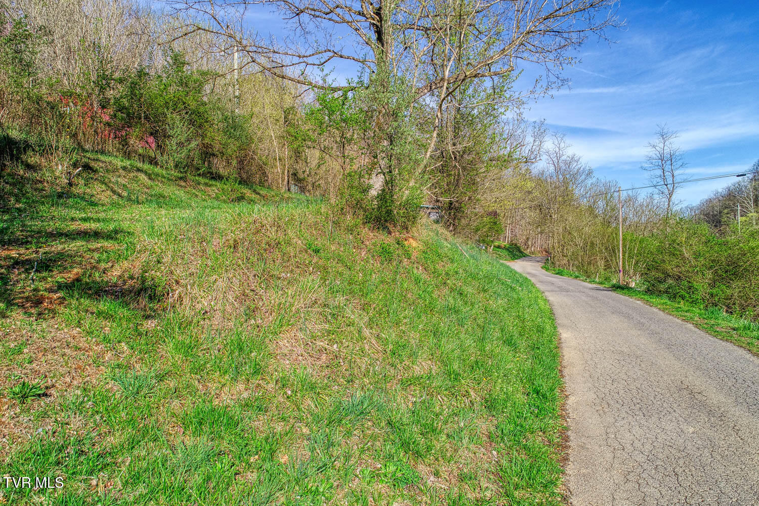 000 Sensabaugh Hollow Road, Church Hill, Tennessee image 3