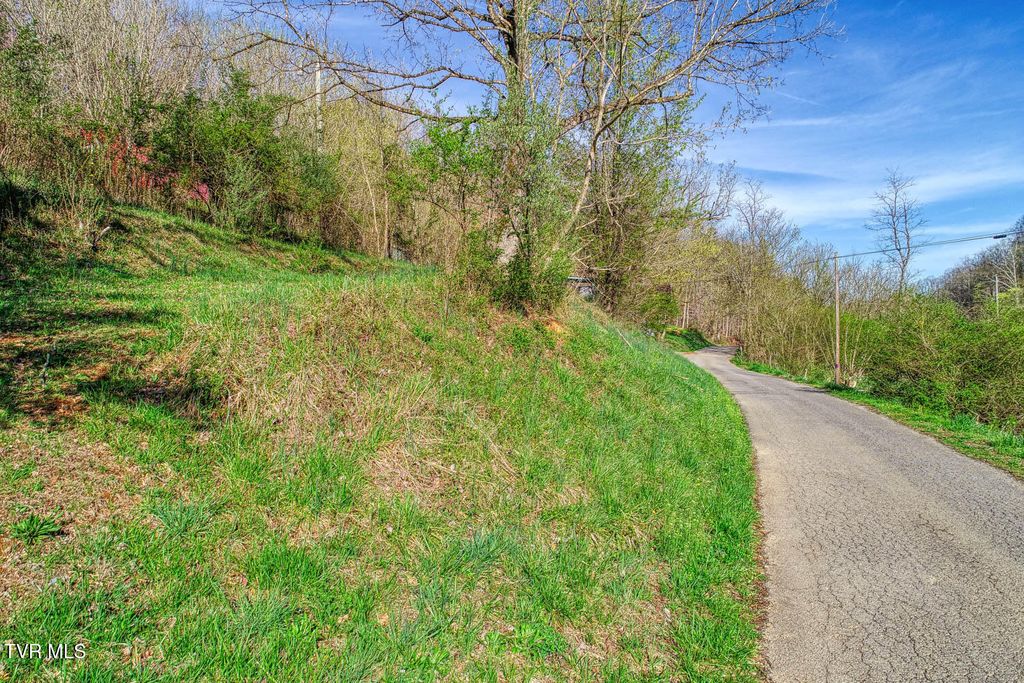 Photo of 000 Sensabaugh Hollow Road, Church Hill, TN 37642 (MLS # 9978203)