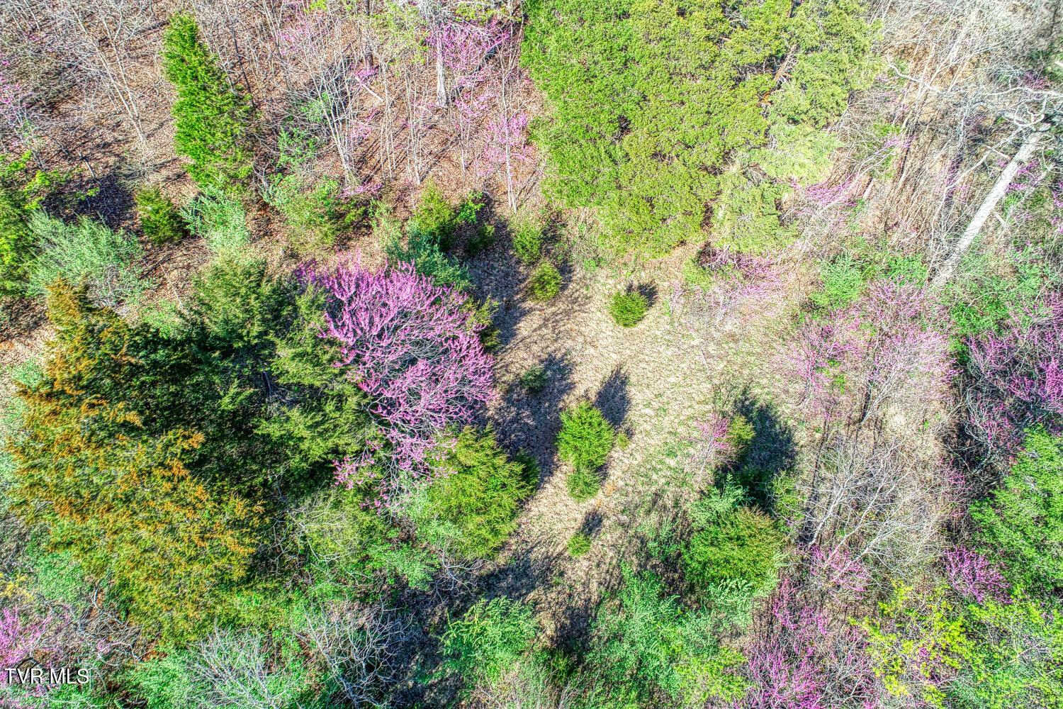 000 Sensabaugh Hollow Road, Church Hill, Tennessee image 11
