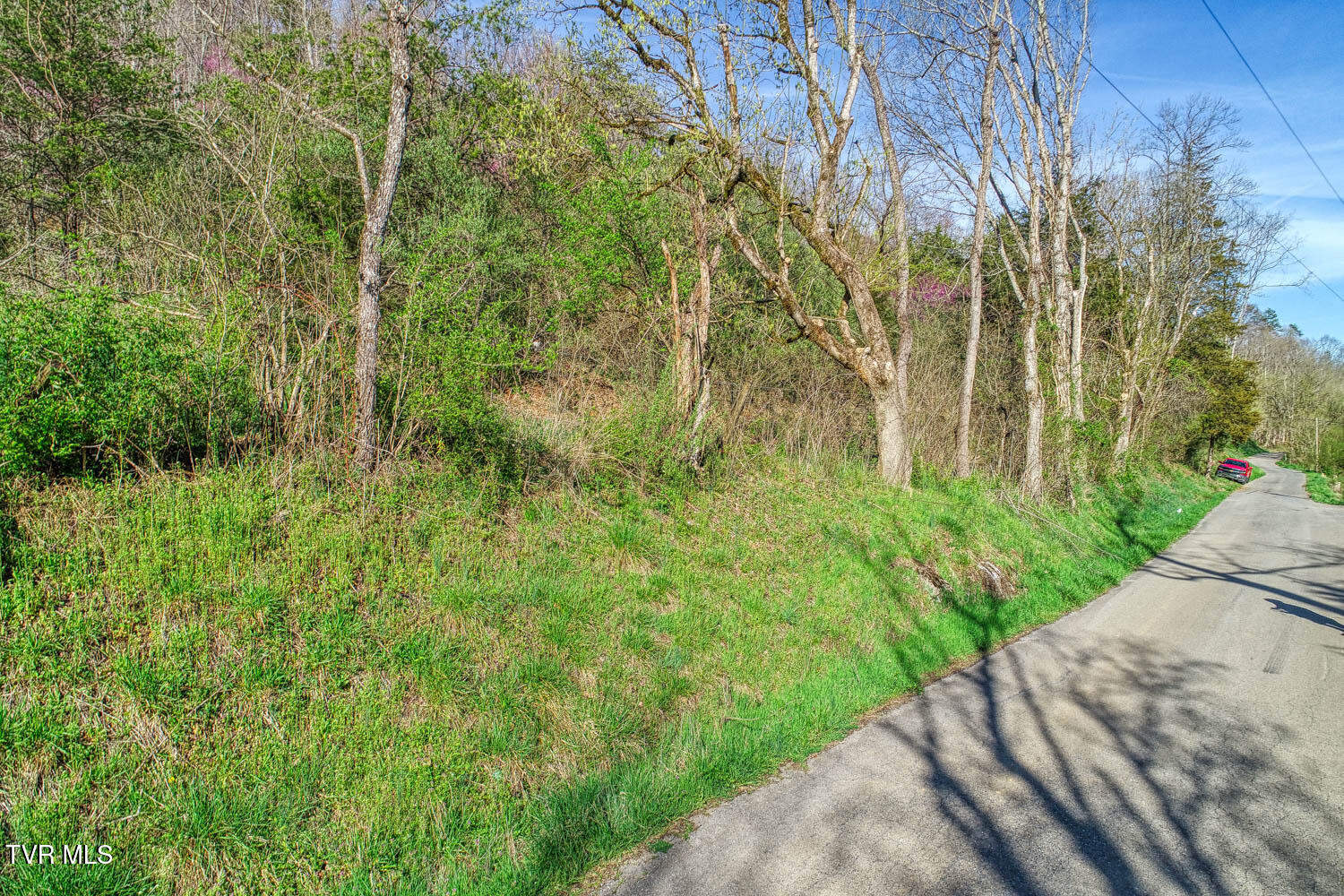 000 Sensabaugh Hollow Road, Church Hill, Tennessee image 7