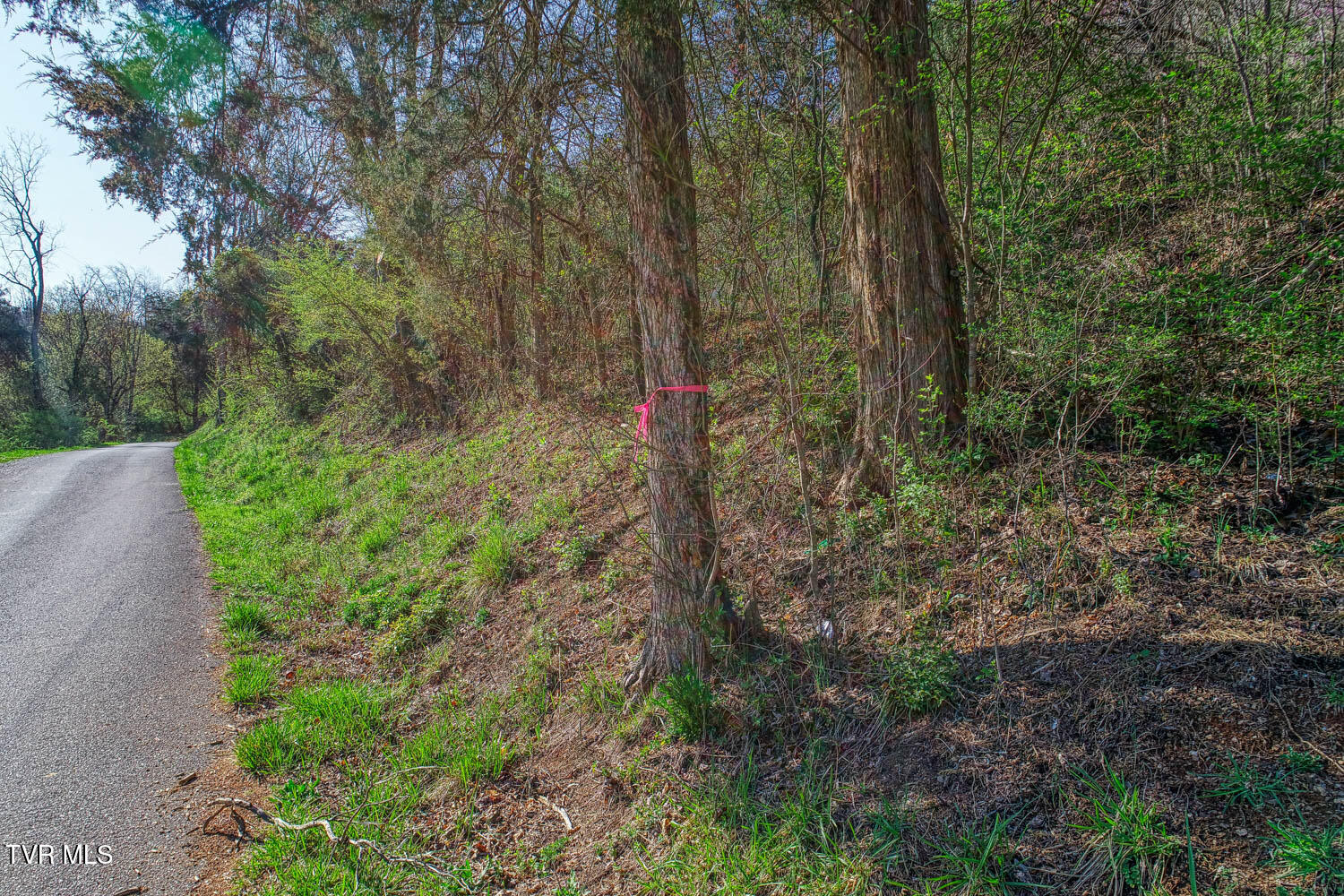 000 Sensabaugh Hollow Road, Church Hill, Tennessee image 4