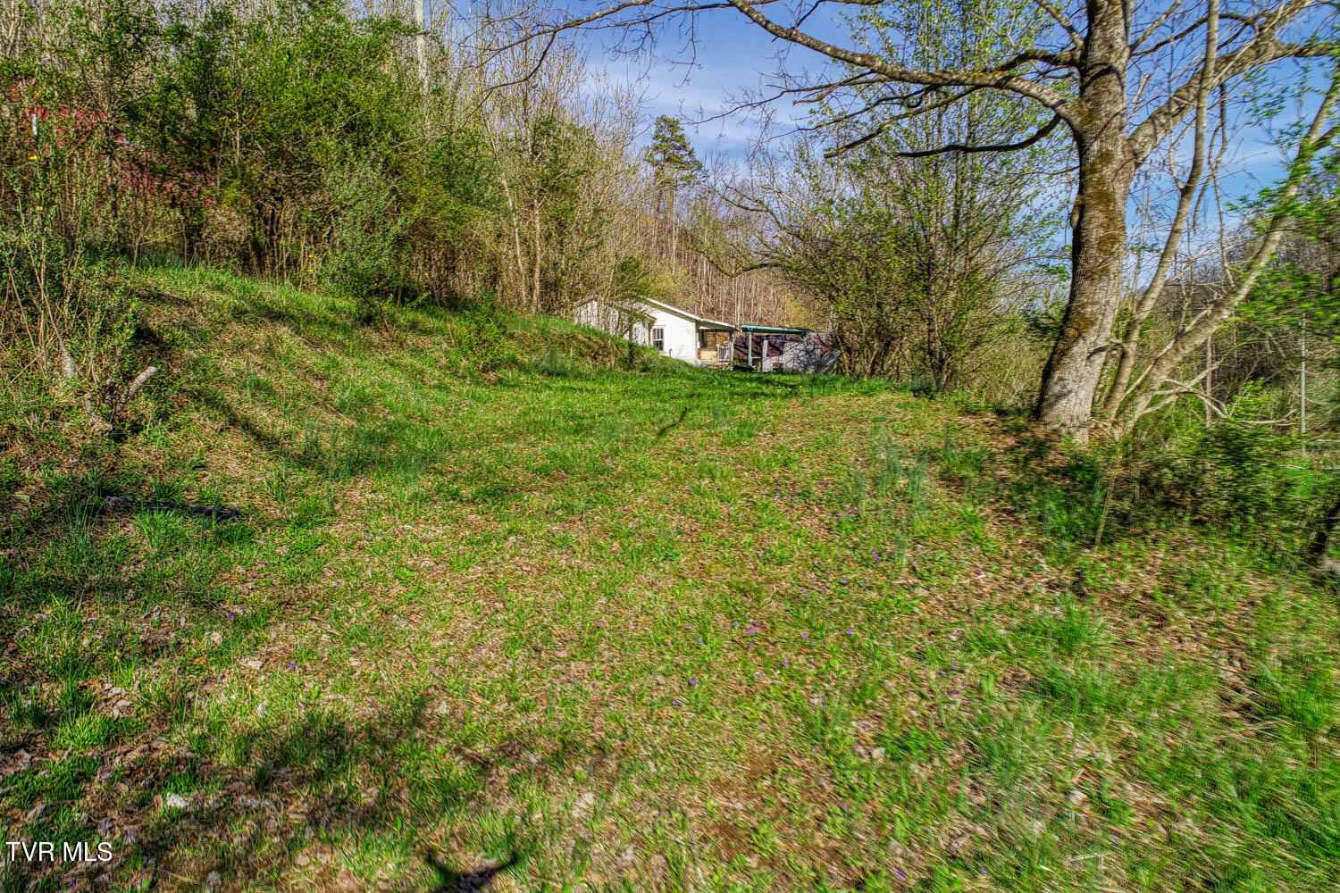 000 Sensabaugh Hollow Road, Church Hill, Tennessee image 2