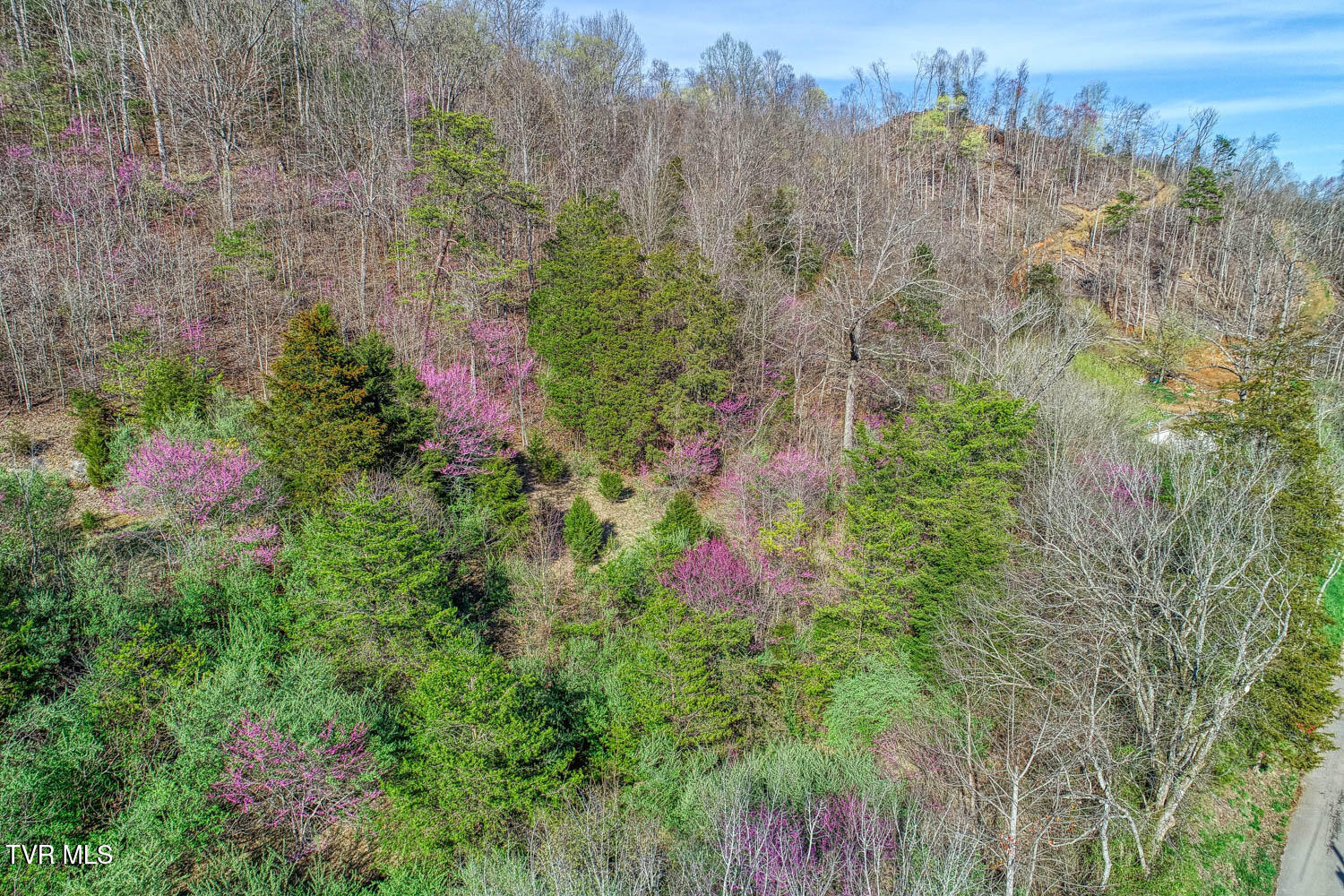 000 Sensabaugh Hollow Road, Church Hill, Tennessee image 9