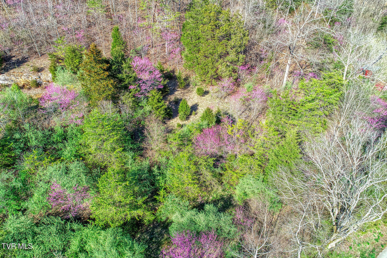 000 Sensabaugh Hollow Road, Church Hill, Tennessee image 10