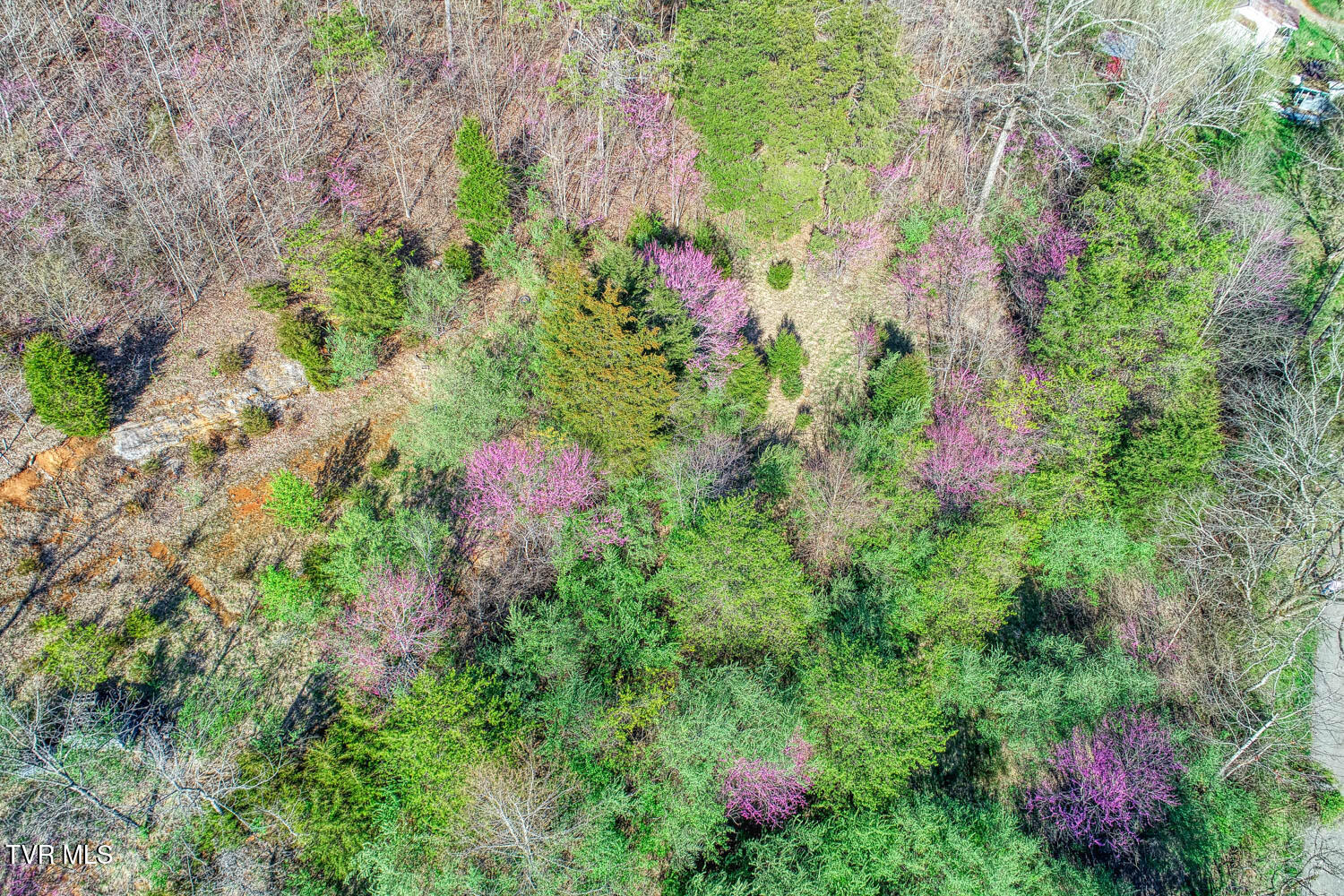 000 Sensabaugh Hollow Road, Church Hill, Tennessee image 21