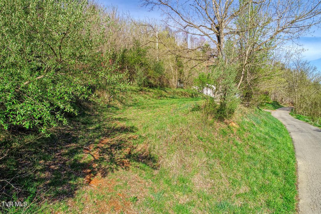 Photo of 000 Sensabaugh Hollow Road, Church Hill, TN 37642 (MLS # 9978203)